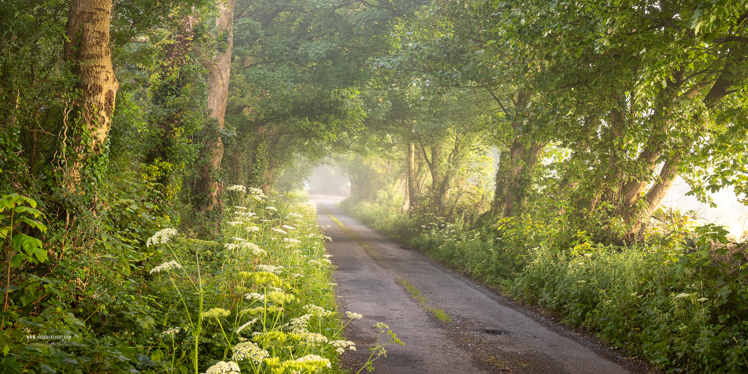 Boston Clare Ireland - boston,july,lowlands,mist,panorama,rockvale,summer,trees