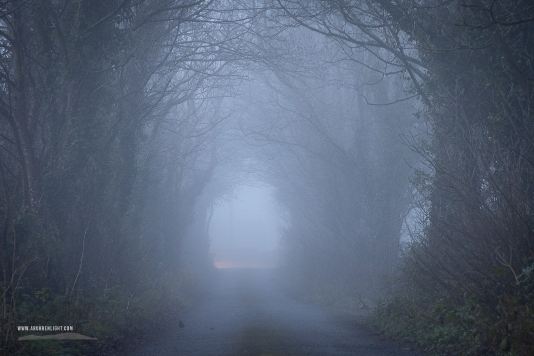 Boston Clare Ireland - autumn,boston,fog,lowland,mist,november