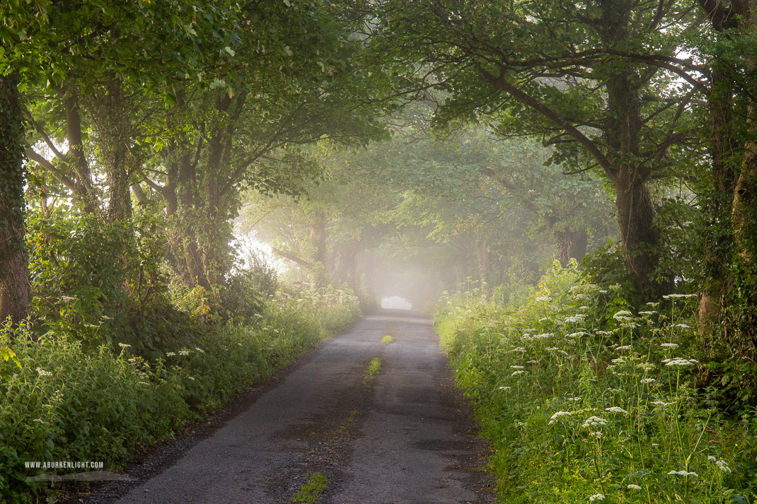 Boston Clare Ireland - boston,july,lowlands,mist,rockvale,summer,trees