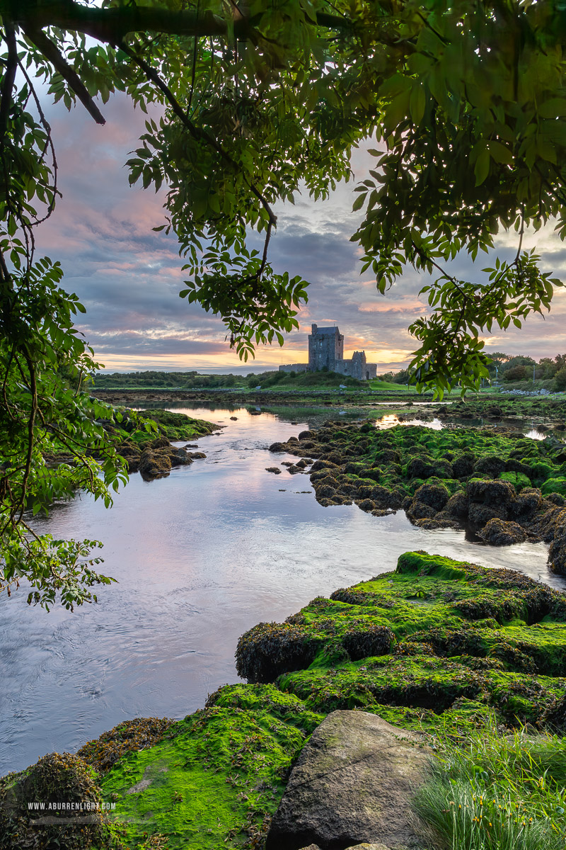 Dunguaire Castle Kinvara Clare Ireland - august,castle,dunguaire,kinvara,landmark,summer,sunrise,green,coast