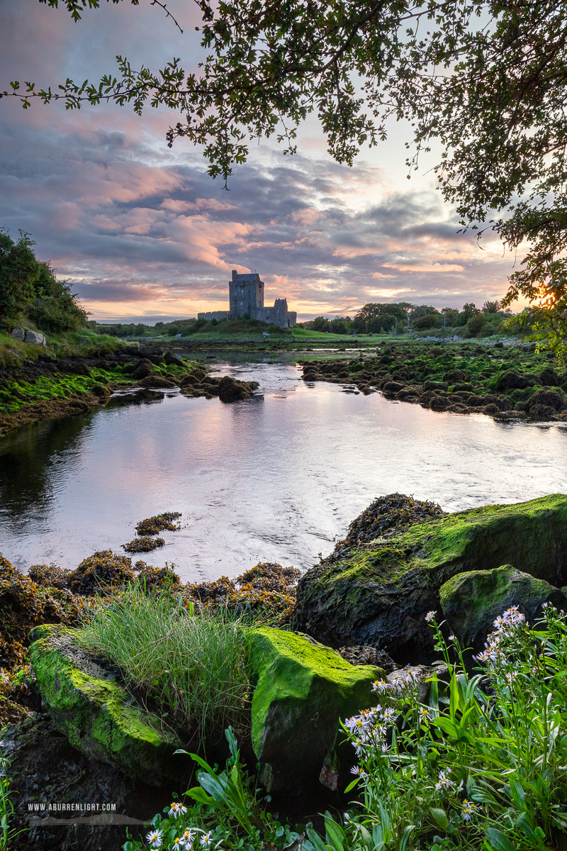 Dunguaire Castle Kinvara Clare Ireland - august,castle,dunguaire,flowers,kinvara,landmark,summer,sunrise,coast