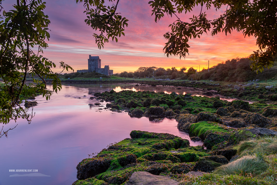 Dunguaire Castle Kinvara Clare Ireland - autumn,birch,castle,dunguaire,kinvara,long exposure,purple,september,twilight,limited,portfolio,coast