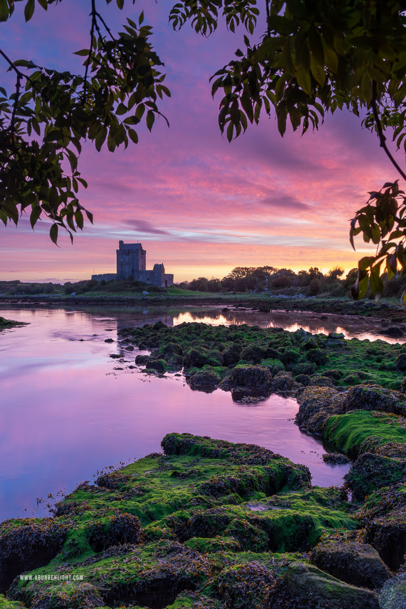 Dunguaire Castle Kinvara Clare Ireland - autumn,birch,castle,dunguaire,kinvara,long exposure,purple,september,twilight,coast