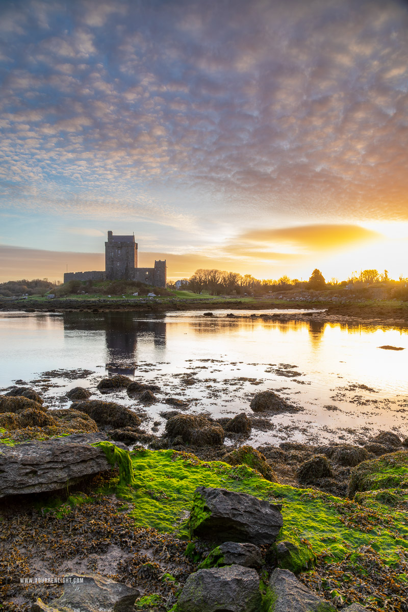 Dunguaire Castle Kinvara Clare Ireland - castle,dunguaire,green algae,kinvara,landmark,march,sunrise,winter,coast,golden