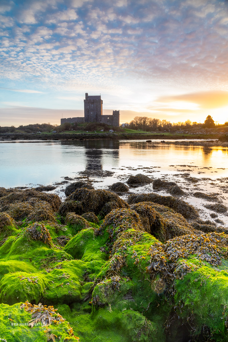 Dunguaire Castle Kinvara Clare Ireland - castle,dunguaire,green algae,kinvara,landmark,march,sunrise,winter,coast,golden