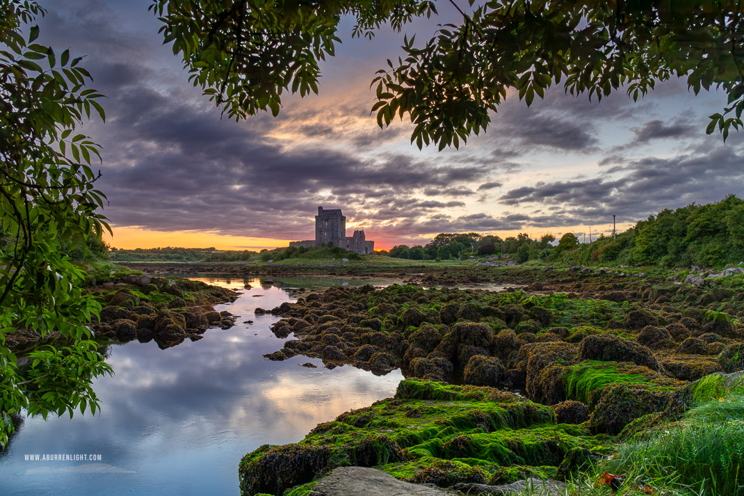 Dunguaire Castle Kinvara Clare Ireland - castle,coast,dunguaire,foliage,green algae,june,kinvara,landmark,summer,sunrise,portfolio