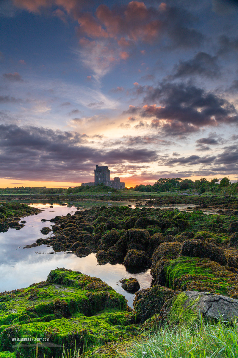 Dunguaire Castle Kinvara Clare Ireland - castle,coast,dunguaire,foliage,green algae,june,kinvara,landmark,summer,sunrise