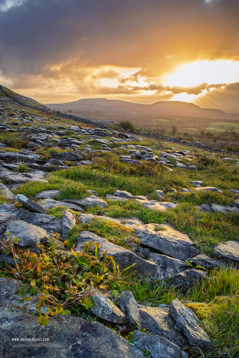 Fahee North Carron Burren East Clare Ireland - fahee,golden,hills,pick-hills,portfolio,september,summer,sunrise,wall