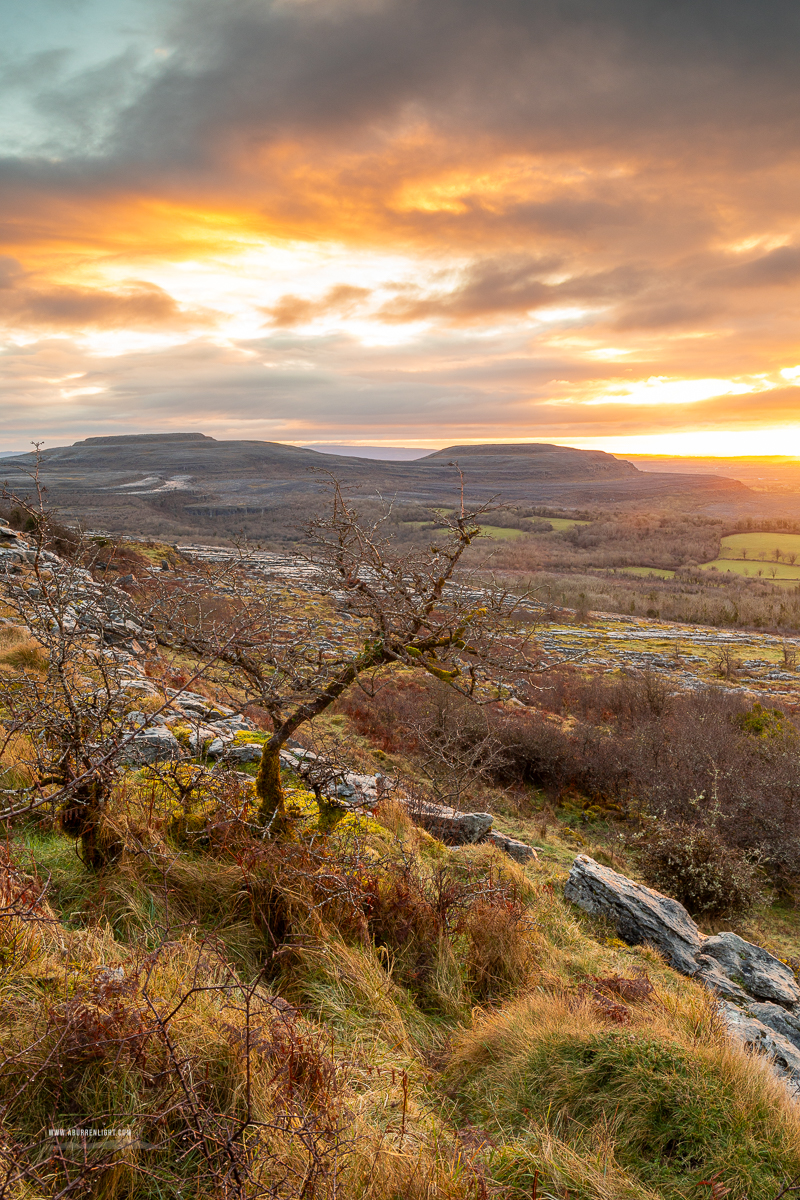 Fahee North Carron Burren East Clare Ireland - fahee,lone tree,march,orange,sunrise,winter