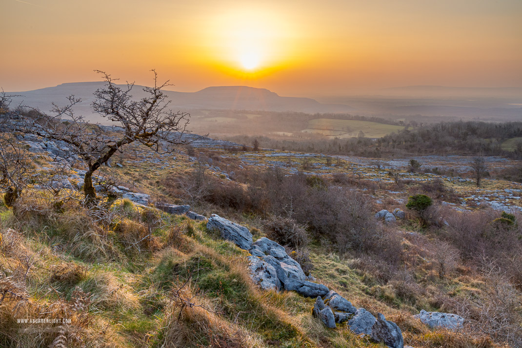 Fahee North Carron Burren East Clare Ireland - fahee,golden hour,lone tree,march,mist,spring,sunrise,portfolio,hills