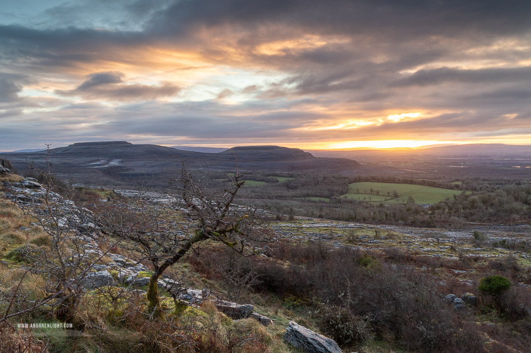 Fahee North Carron Burren East Clare Ireland - fahee,lone tree,march,orange,sunrise,winter,hills