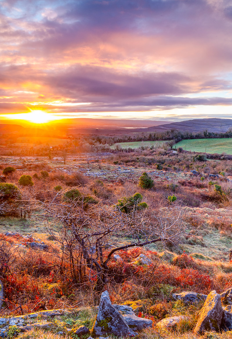 Fahee North Carron Burren East Clare Ireland - fahee,golden,lone tree,march,orange,sunrise,sunstar,winter,hills