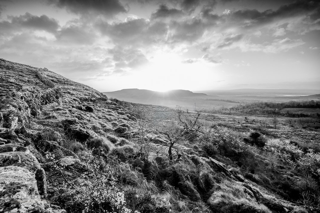 Fahee North Carron Burren East Clare Ireland - april,fahee,hills,monochrome,spring,sunrise,wall