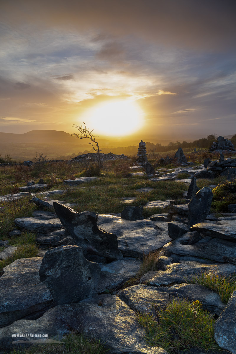 Fahee North Carron Burren East Clare Ireland - autumn,fahee,golden,hills,lone tree,mist,october,prayer,stone,sunrise