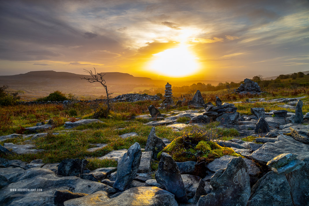 Fahee North Carron Burren East Clare Ireland - autumn,fahee,golden,hills,lone tree,mist,october,portfolio,prayer,stone,sunrise