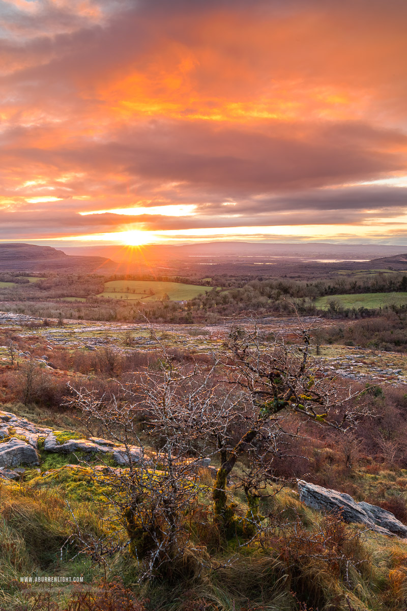 Fahee North Carron Burren East Clare Ireland - fahee,lone tree,hills,march,orange,sunrise,sunstar,winter