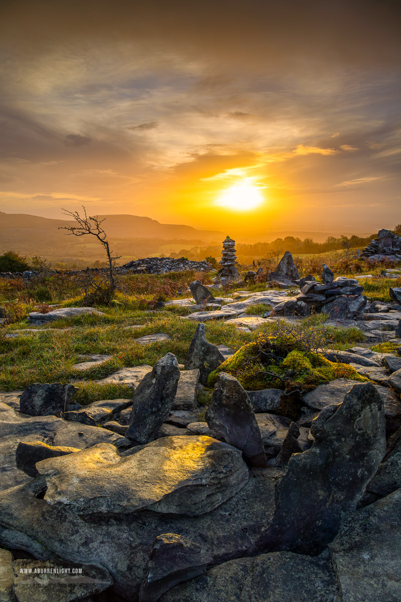 Fahee North Carron Burren East Clare Ireland - autumn,fahee,golden,hills,lone tree,mist,october,prayer,stone,sunrise