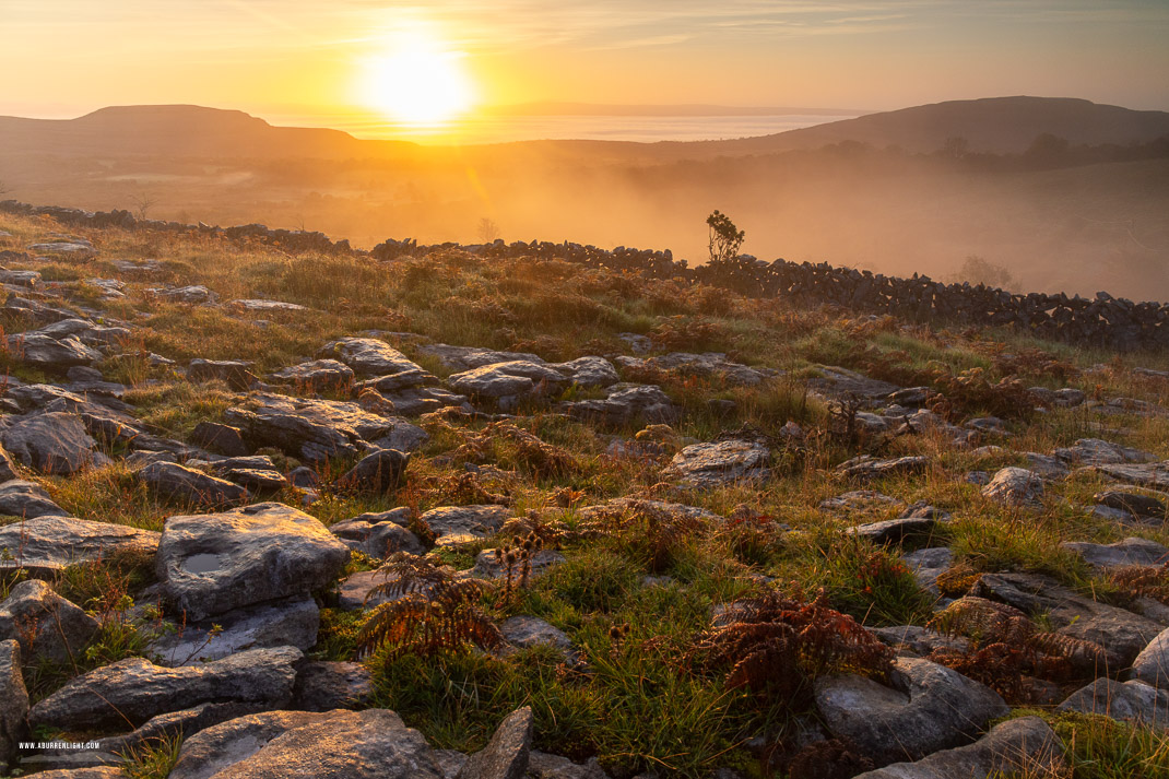 Fahee North Carron Burren East Clare Ireland - autumn,fahee,mist,october,sunrise,golden,hills