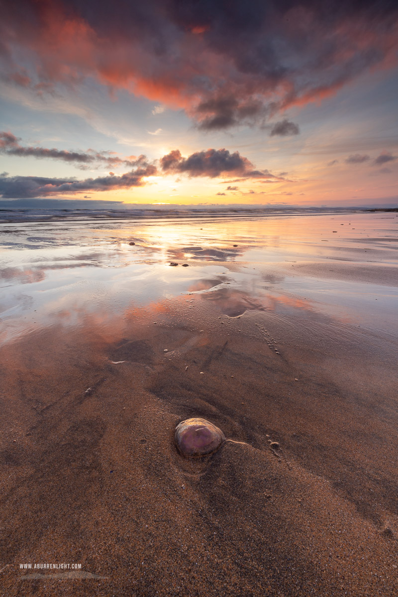 Fanore Beach Wild Atlantic Way Clare Ireland - fanore,jellyfish,june,long exposure,spring,sunset,sand,coast,copper,brown