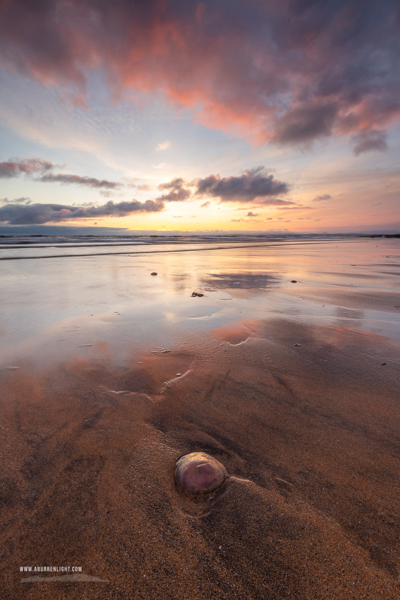 Fanore Beach Wild Atlantic Way Clare Ireland - fanore,jellyfish,june,spring,sunset,portfolio,sand,coast,copper,brown