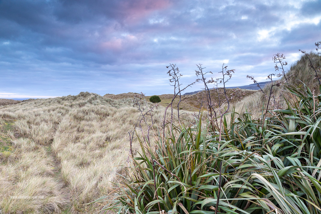 Fanore Beach Wild Atlantic Way Clare Ireland - april,dunes,fanore,spring,sunrise,sand,coast