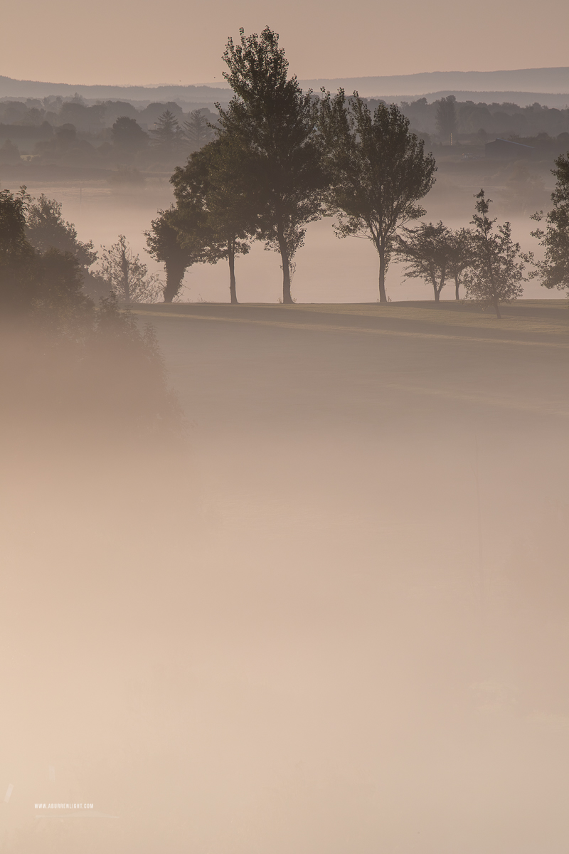 Trees emerging through warm sunrise mist across lowland fields near Gort, County Galway