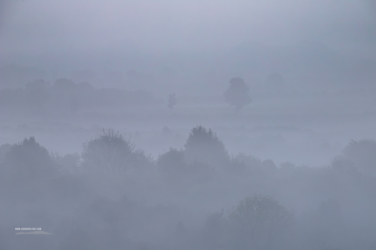 Layers of trees and fields receding into pale sunrise mist near Gort, County Galway