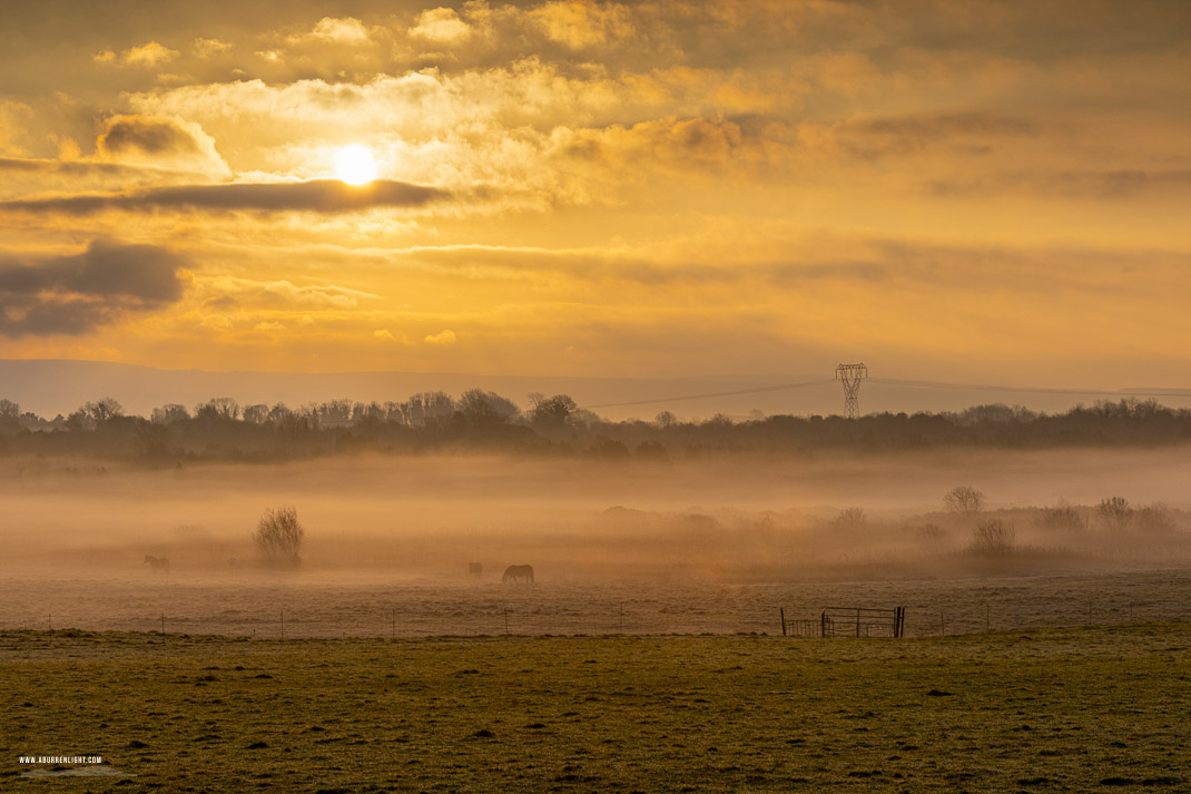 Gort Galway Ireland - autumn,december,gort,mist,sunrise,golden,lowland