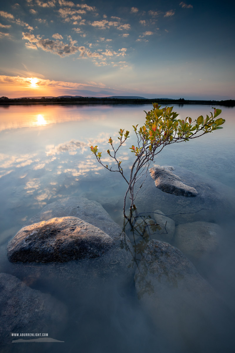 Lough Bunny Clare Ireland - blue hour,lough bunny,may,spring,sunset,portfolio,lowland,sappling,reflection