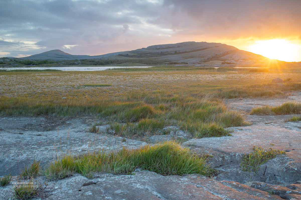 Golden sunrise spreading across limestone grassland beneath Mullaghmore in Burren National Park
