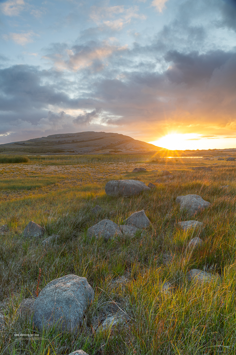 Portrait view of a golden summer sunrise over grasses and limestone rocks below Mullaghmore