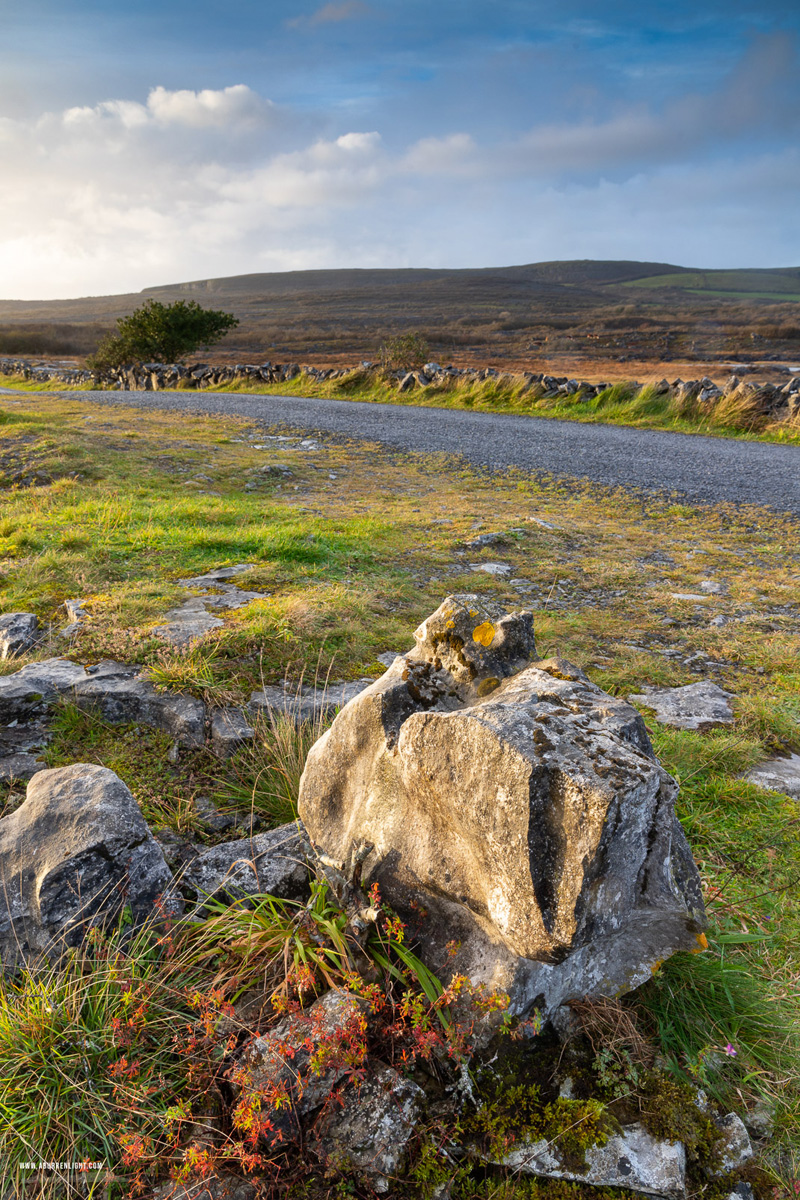 Mullaghmore Burren National Park Clare Ireland - mullaghmore,october,winter,park,golden