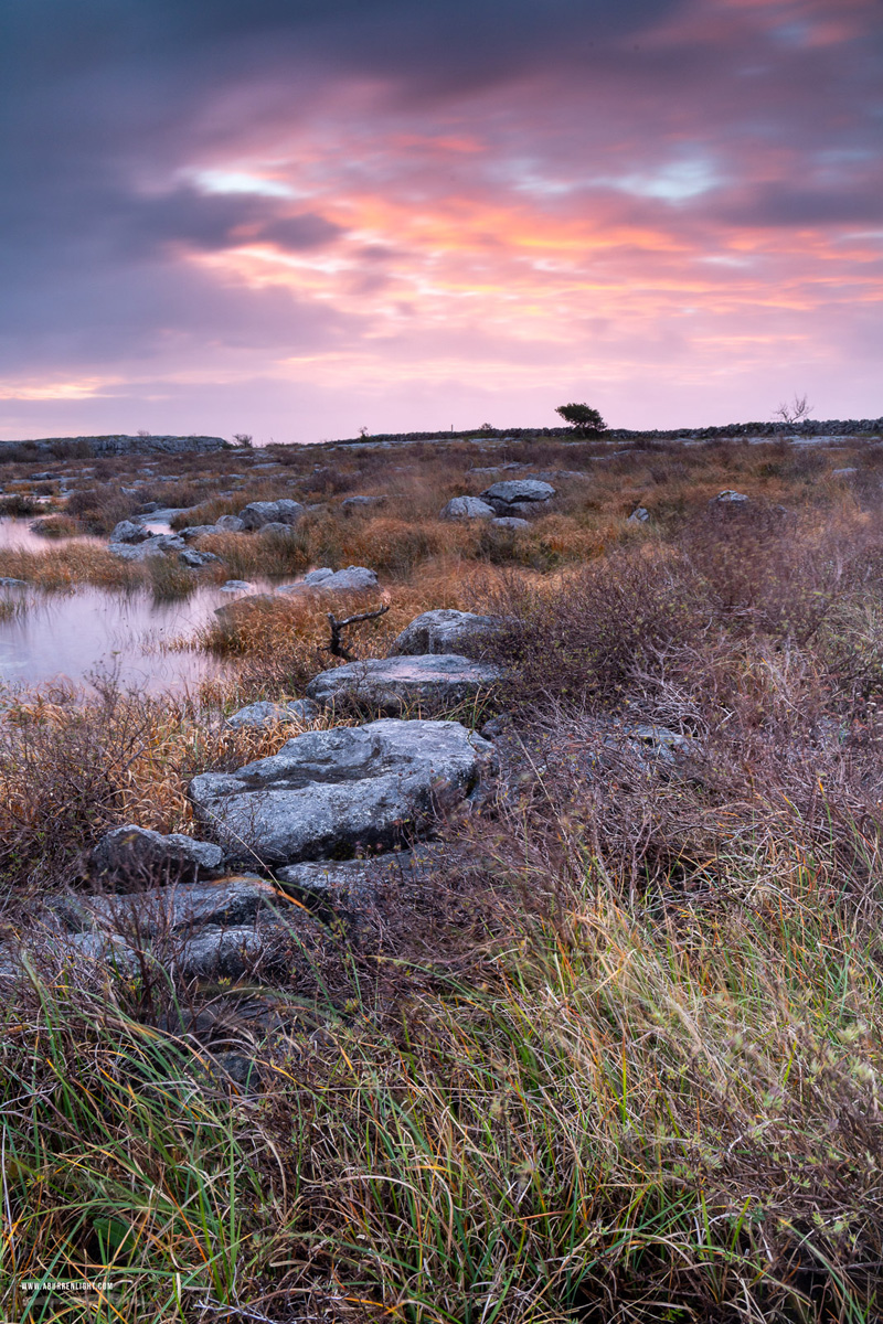 Mullaghmore Burren National Park Clare Ireland - long exposure,mullaghmore,november,pink,sunrise,winter,park,copper,golden