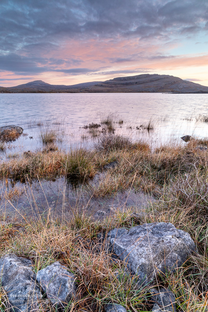 Mullaghmore Burren National Park Clare Ireland - sunrise,autumn,december,mullaghmore,pink,park