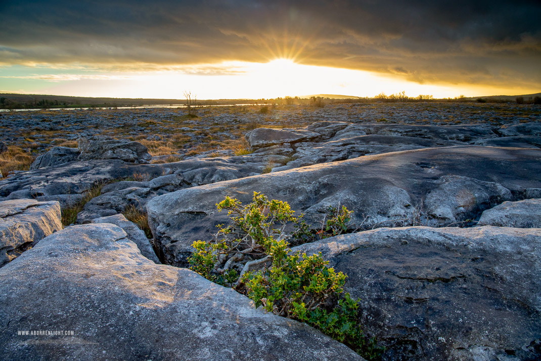 Mullaghmore Burren National Park Clare Ireland - january,mullaghmore,sapling,sunset,winter,park