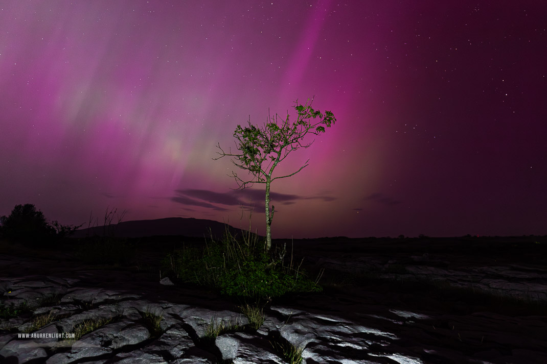 Mullaghmore Burren National Park Clare Ireland - aurora,lone tree,long exposure,may,mullaghmore,night,park,pilars,purple,spring