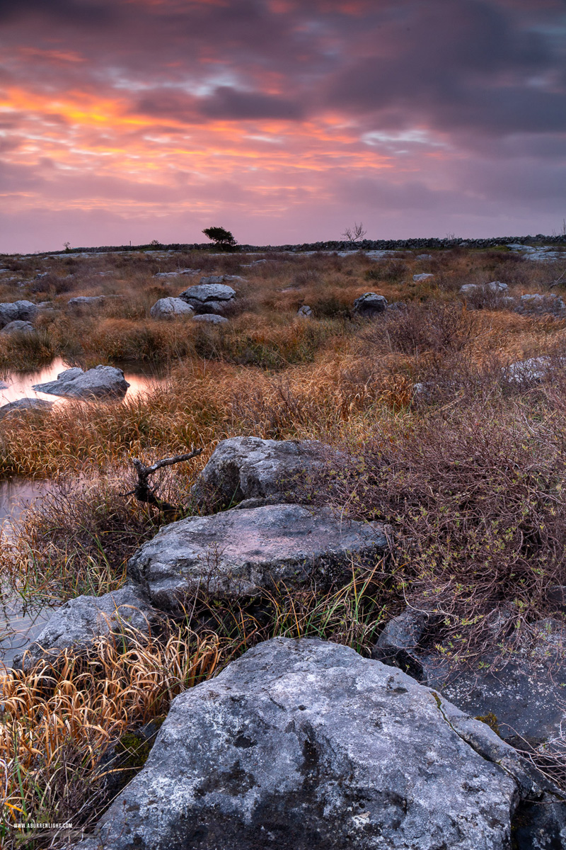 Mullaghmore Burren National Park Clare Ireland - limited,long exposure,mullaghmore,november,pink,sunrise,winter,portfolio,park