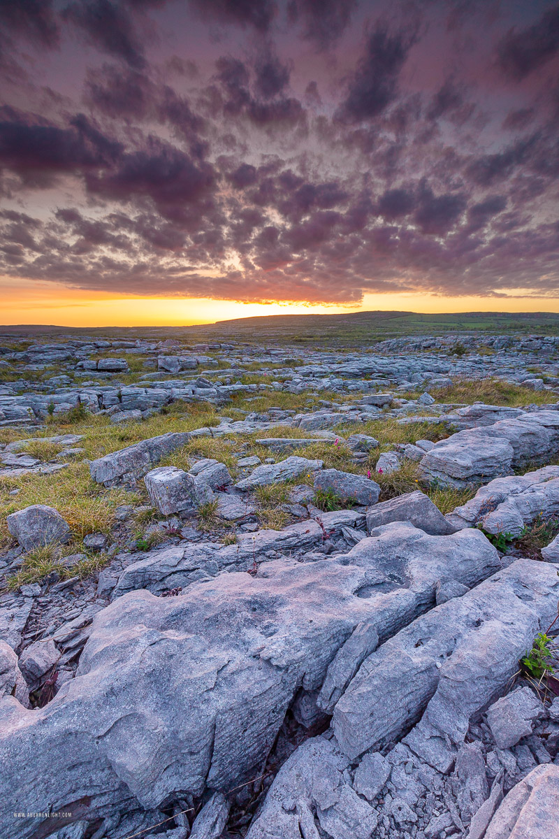 Mullaghmore Burren National Park Clare Ireland - dusk,flower,may,mullaghmore,red,spring,sunset,park,golden