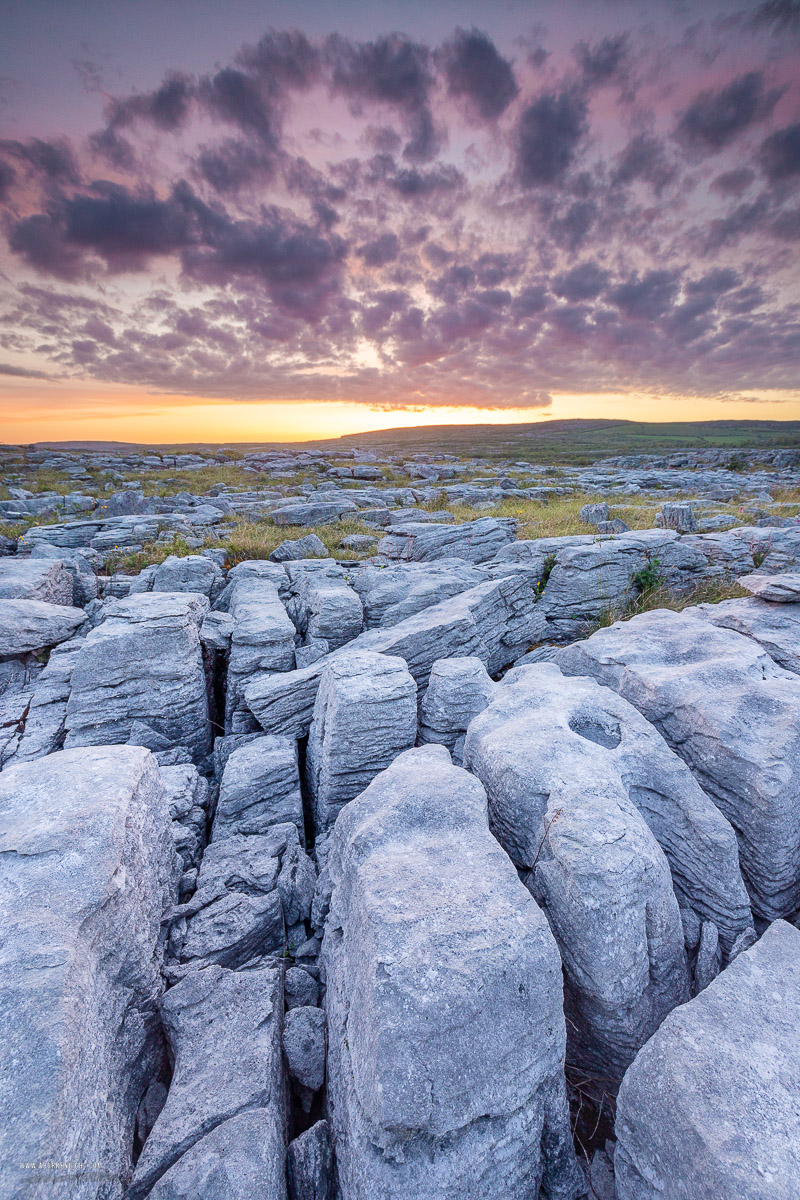 Mullaghmore Burren National Park Clare Ireland - dusk,flower,may,mullaghmore,red,spring,sunset,park,golden