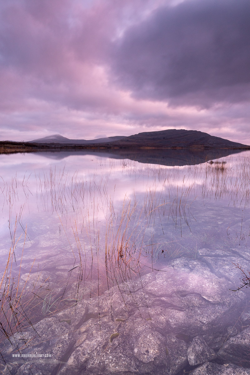 Mullaghmore Burren National Park Clare Ireland - autumn,magenta,mullaghmore,november,reflections,sunrise,park