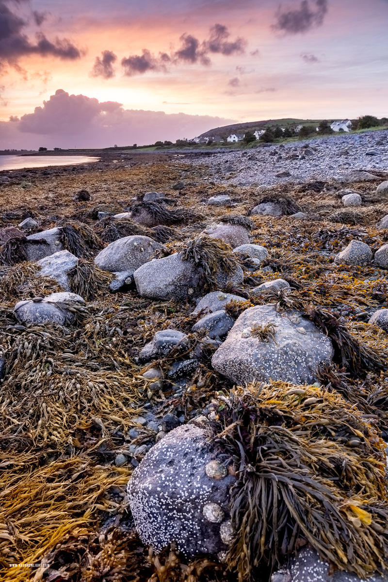 New Quay Kinvara Wild Atlantic Way Clare Ireland - long exposure,new quay,september,summer,sunrise,coast