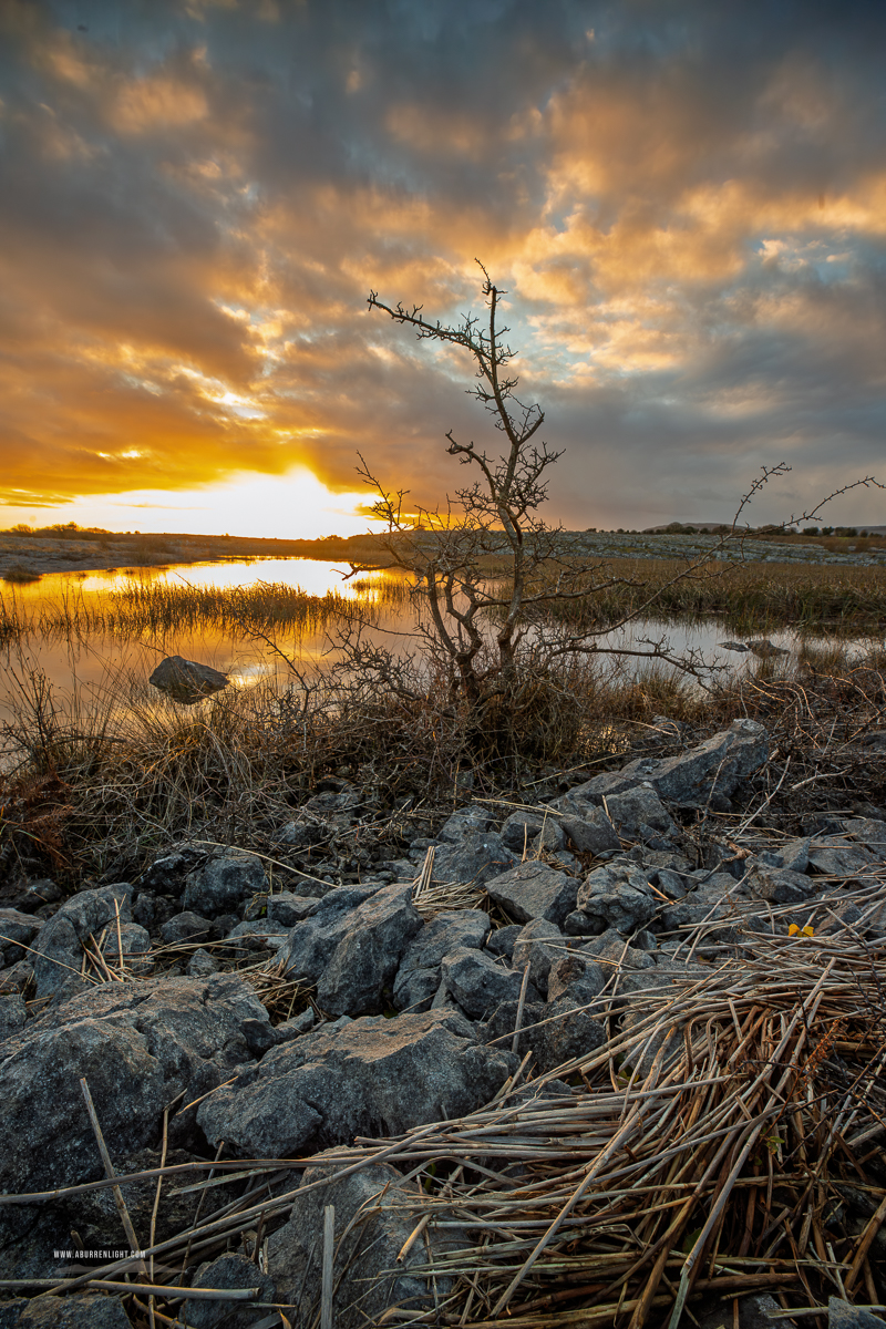 The Burren Clare Ireland - golden,january,lowland,pick-lowland