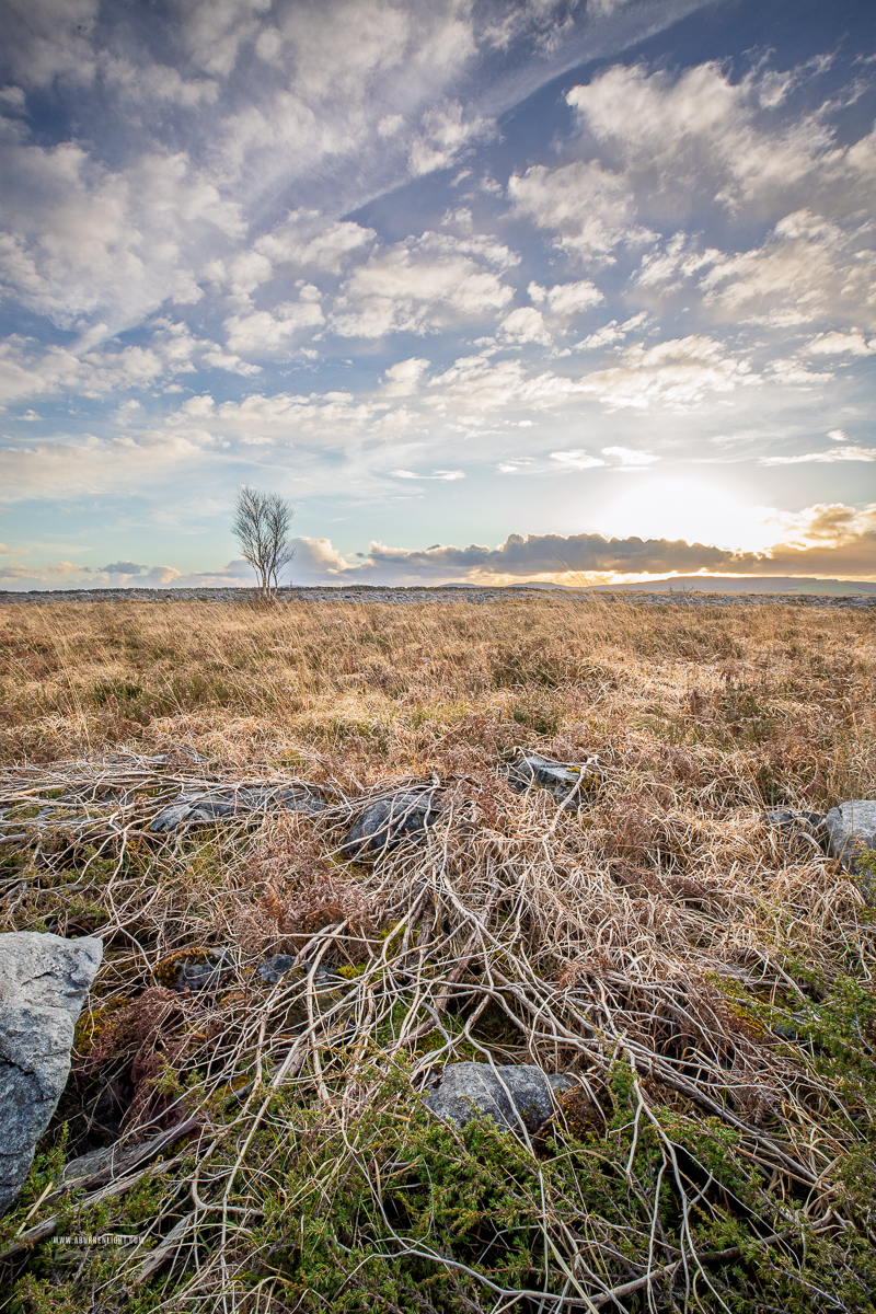 The Burren Clare Ireland - evening,golden,lowlands,march,sunset,winter
