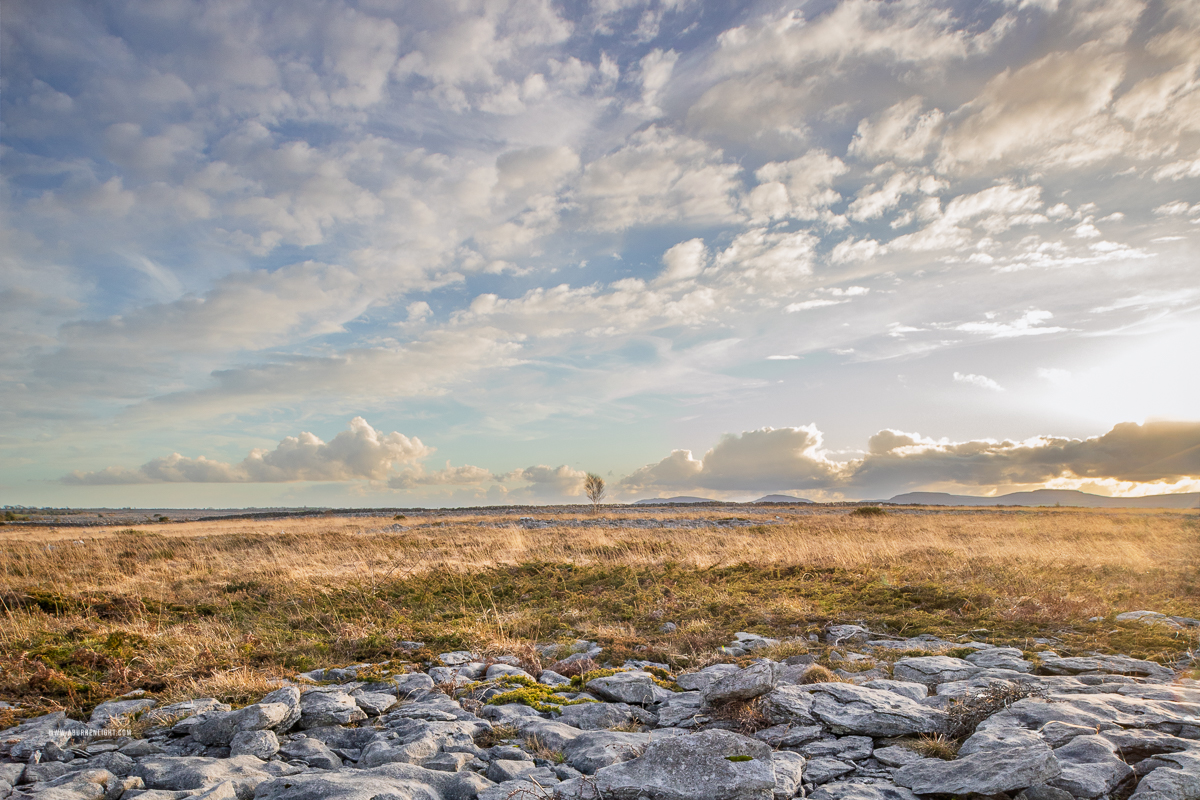 The Burren Clare Ireland - dreamy,evening,golden,lowlands,march,sunset,winter,pick-lowland