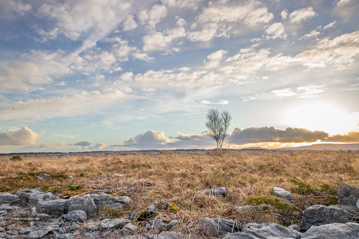 The Burren Clare Ireland - evening,golden,lowlands,march,sunset,sunstar,winter