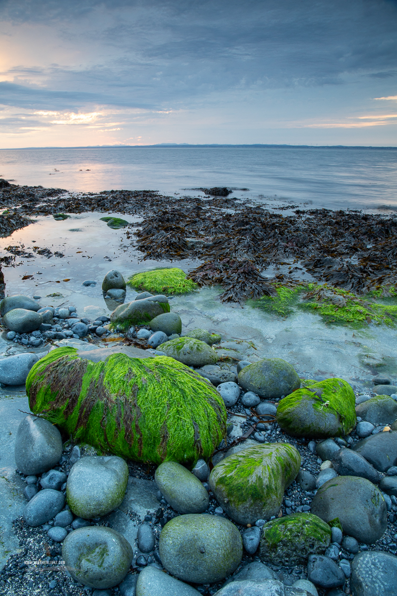 Green algae-covered boulders at The Flaggy Shore on a calm spring morning in County Clare