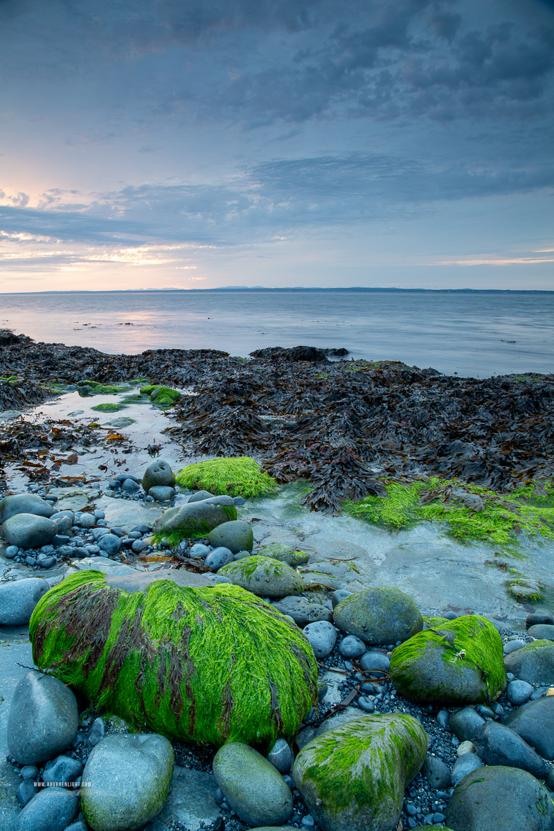 Algae-covered rocks and pebbles along The Flaggy Shore coastline in County Clare
