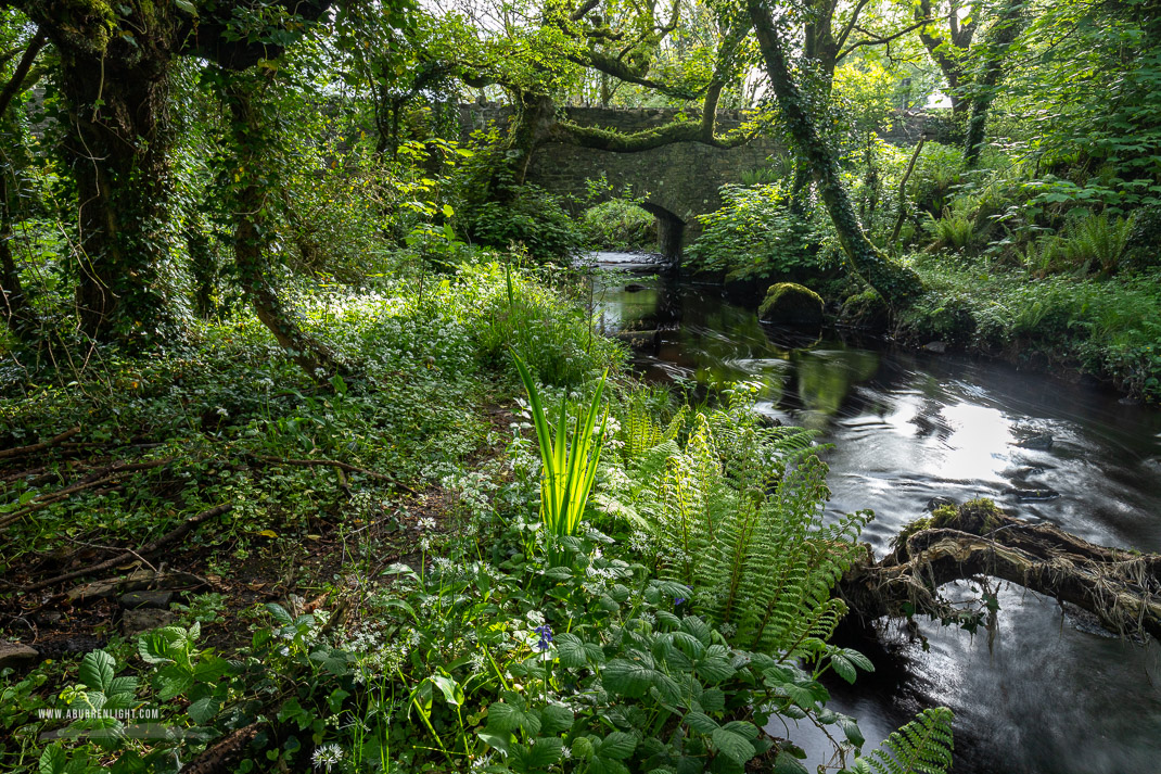 The Burren Clare Ireland - bridge,kilfenora,long exposure,may,spring,green,lowland