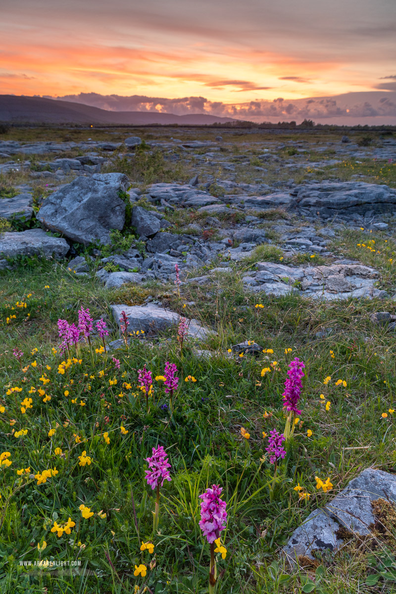 The Burren Clare Ireland - afterburn,dusk,flowers,long exposure,may,orchids,spring,sunset,coast