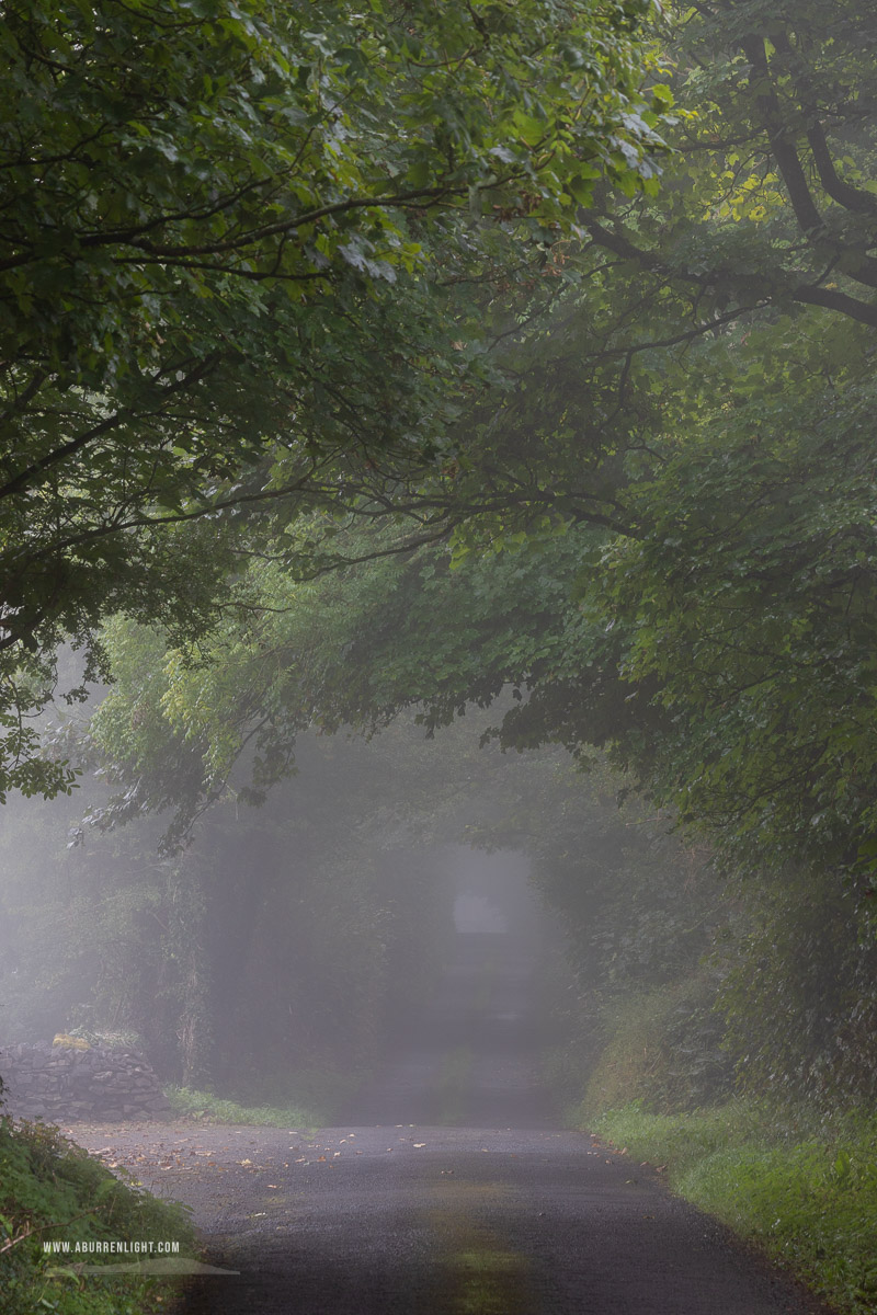 The Burren Clare Ireland - mist,september,summer,trees,lowland